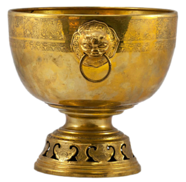 photostudio 1773524822209.png