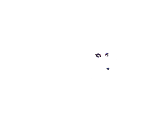 Untitled613 20260314122747.png