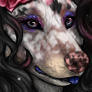 Untitled452 20260314122838.png