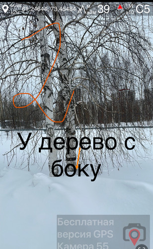 IMG 9322.jpg