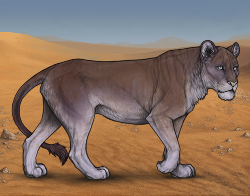 Screenshot 2026 03 14 at 4.23.51 PM.png