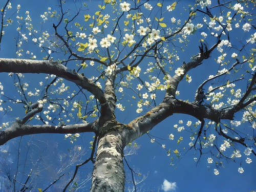 IMG 20260315 014515.jpg