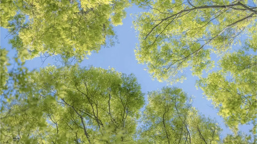 IMG 20260315 014450.jpg