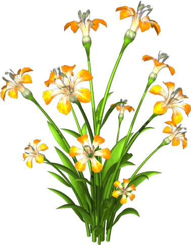 Blume geld.png
