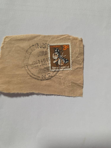 49aea8830459.jpg