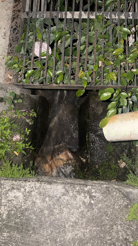 WhatsApp Image 2026 03 14 at 20.03.02