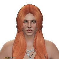 8dd1a944504c.png