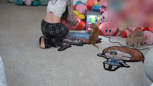 Emily 'Emiru' Schunk 8861590.jpg