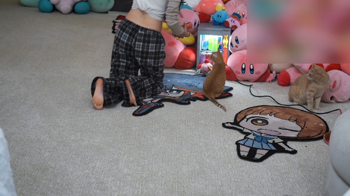 Emily 'Emiru' Schunk 8861589.jpg
