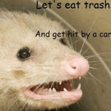 1637010275244.png