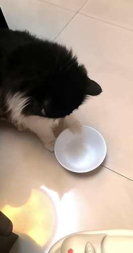 IMG 20260315 133313.jpg