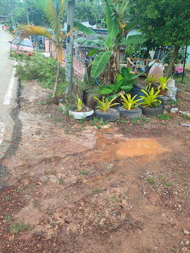 PHOTO 2026 03 15 13 31 25