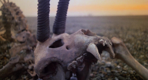 Time.Bandits.1981.CC.UHD.BluRay.2160p.DV.HDR.x265.10bit.LPCM.2.0 UBits CHT 011638.jpg