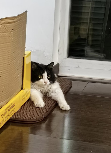 IMG 20260315 135247.jpg