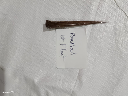 WhatsApp Image 2026 03 15 at 8.38.21 AM (2).jpg