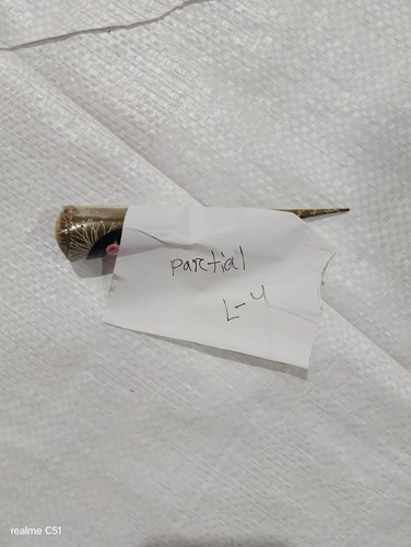 WhatsApp Image 2026 03 15 at 8.38.12 AM.jpg