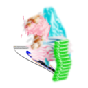 8a95076055d7.png