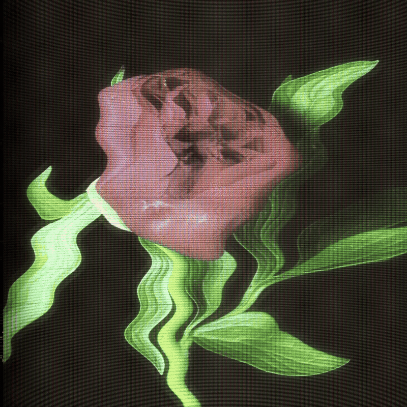 CRTX glitch effects