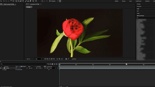 workflow.gif