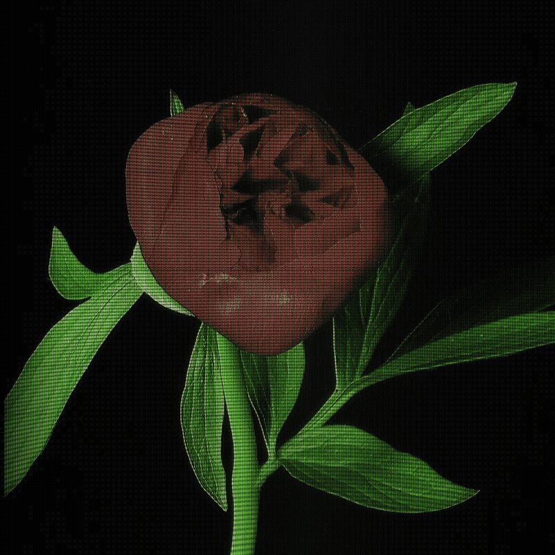 CRTX beam bloom
