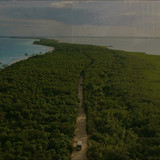 Caught.Stealing.2025.2160p.UHD BluRay.CZ EN.TrueHD.7.1.Atmos.DoVi.HDR10+.x265 r00t.mkv 20260314 2257