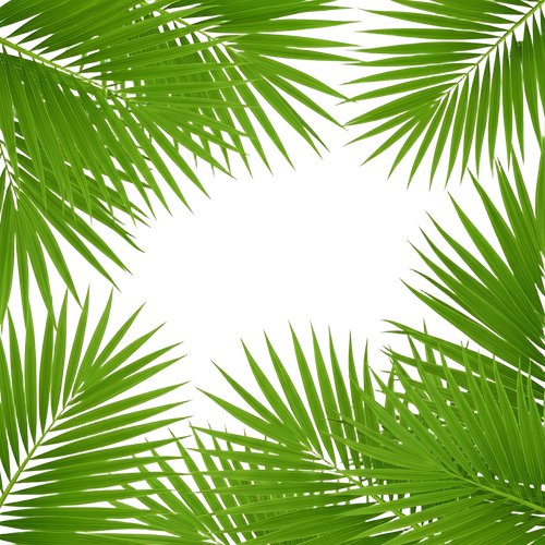 90d21f053daa.png