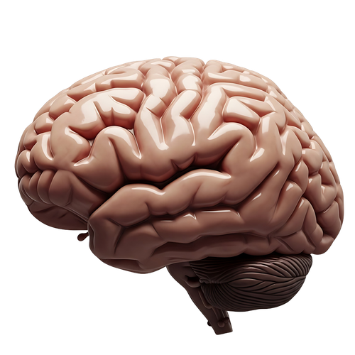 5c868970e6aa.png