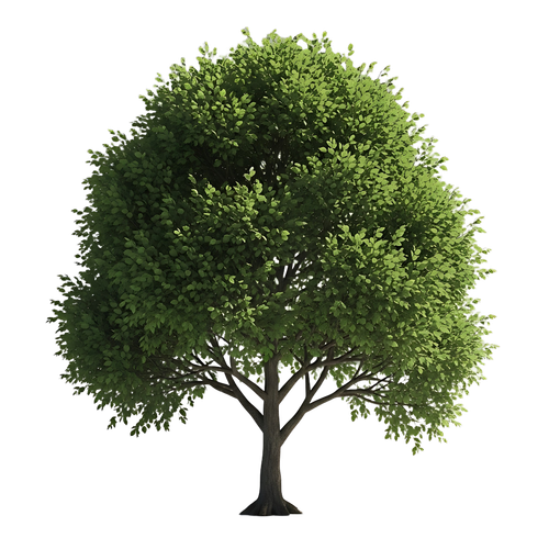 e0a434098ce3.png