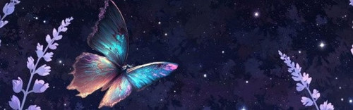 banner.jpg