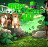 IMG 4851.gif