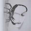 25ba02271eda.png