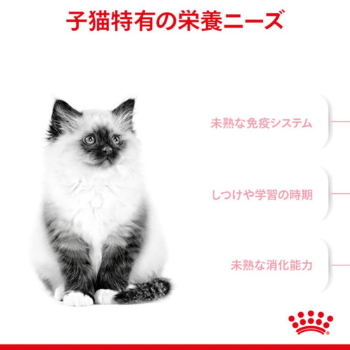 ff0b84d2e276.jpg