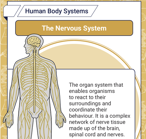 Screenshot 2026 03 15 at 9.11.03 AM.png