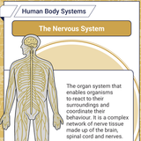 Screenshot 2026 03 15 at 9.11.03 AM