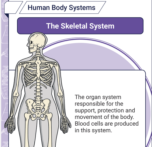 Screenshot 2026 03 15 at 9.10.09 AM.png