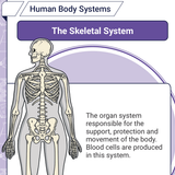 Screenshot 2026 03 15 at 9.10.09 AM