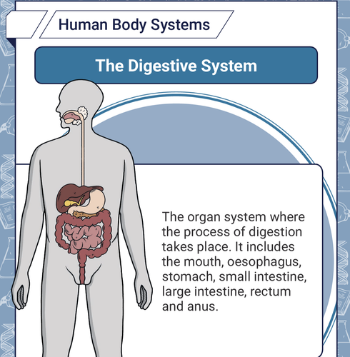 Screenshot 2026 03 15 at 9.06.56 AM.png