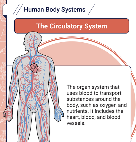 Screenshot 2026 03 15 at 9.09.13 AM.png