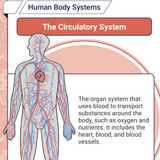 Screenshot 2026 03 15 at 9.09.13 AM