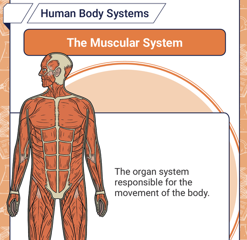 Screenshot 2026 03 15 at 9.12.02 AM.png