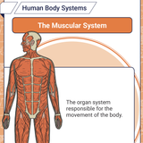 Screenshot 2026 03 15 at 9.12.02 AM