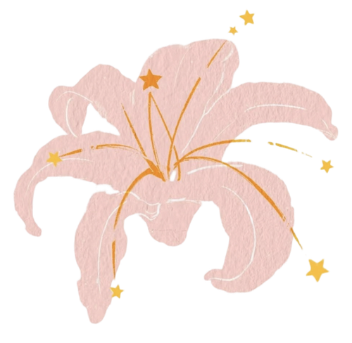 IMG 20260218 183737.png