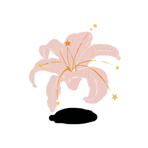 IMG 20260218 183342.png