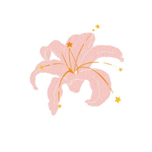 IMG 20260218 183630.png