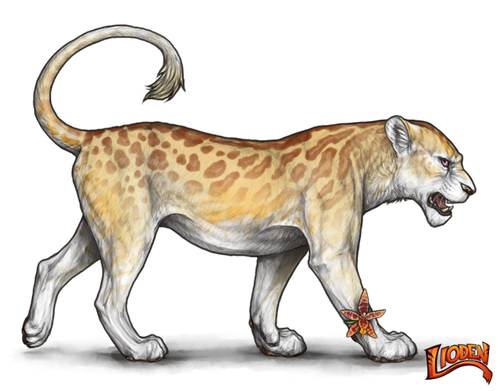 lioden wardrobe (9).png