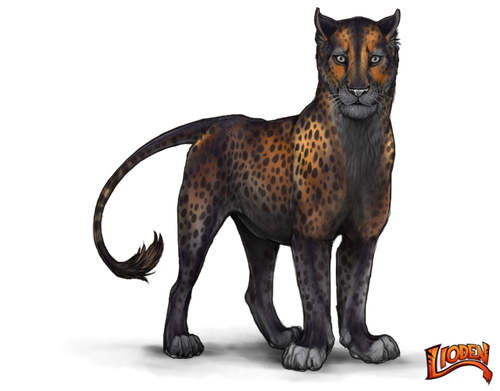 lioden wardrobe (14).png