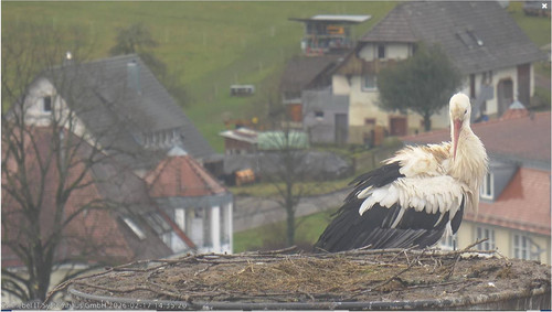 MWSnap462.jpg