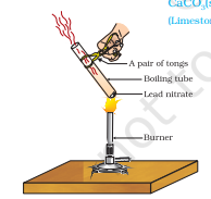 Screenshot 2026 02 19 092202.png