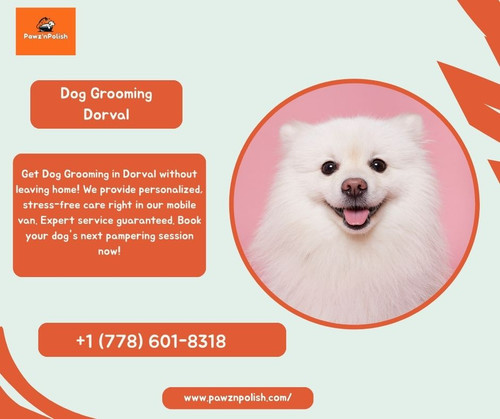 Dog Grooming Dorval.jpg
