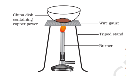 Screenshot 2026 02 19 090713.png